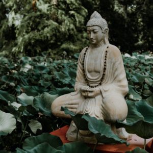 L'hatha yoga d'Inde