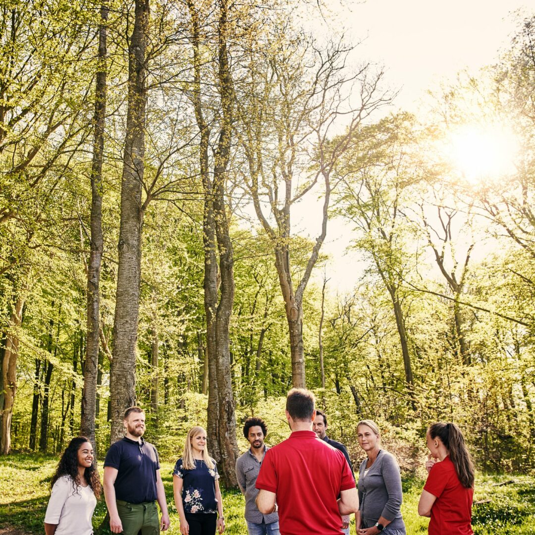 Team Building Nature à Lyon : Renforcez Votre Équipe dans un Cadre Naturel